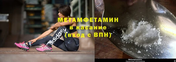 прущие грибы Осинники
