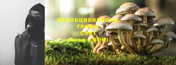 гидра Осташков