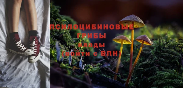 гидра Осташков