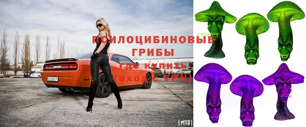 гидра Осташков