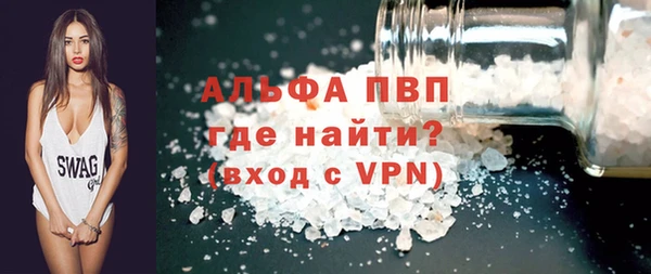 прущие грибы Осинники