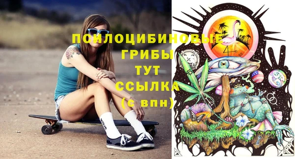 прущие грибы Осинники
