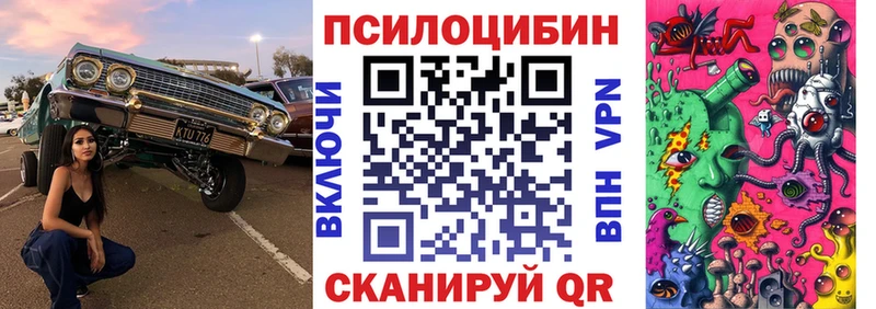 Псилоцибиновые грибы Cubensis  сайты даркнета как зайти  Ленинградская 